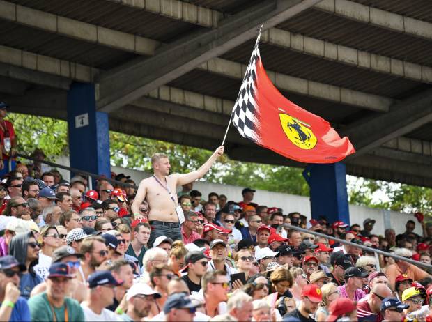 Fans in Hockenheim 2019