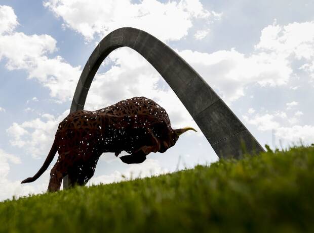 Stier am Red-Bull-Ring in Spielberg Stier am Red-Bull-Ring in Spielberg