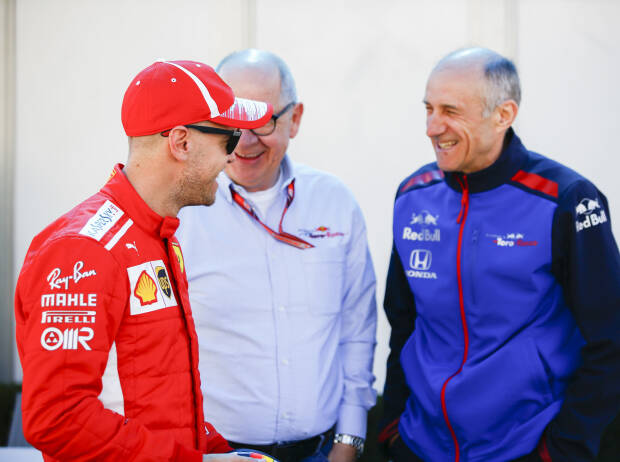 Sebastian Vettel, Franz Tost