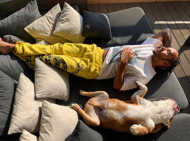 Lewis Hamilton und Roscoe Lewis Hamilton und Roscoe