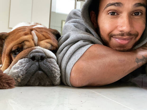 Lewis Hamilton mit seiner Bulldogge Roscoe Lewis Hamilton mit seiner Bulldogge Roscoe