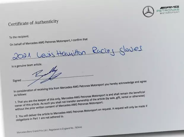 Foto zur News: Für guten Zweck: Lewis Hamilton versteigert signierte WM-Handschuhe