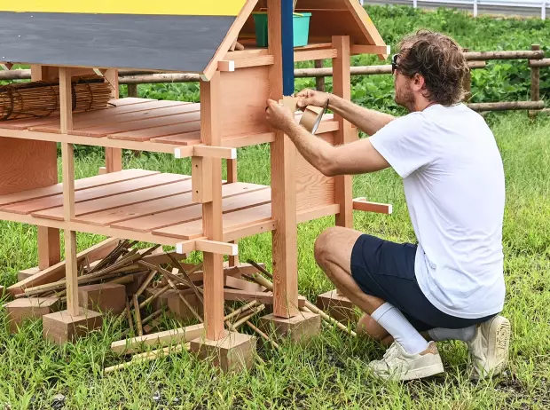 Foto zur News: Insekten-Hotels und gelb-schwarze Randsteine: Vettels neueste Idee