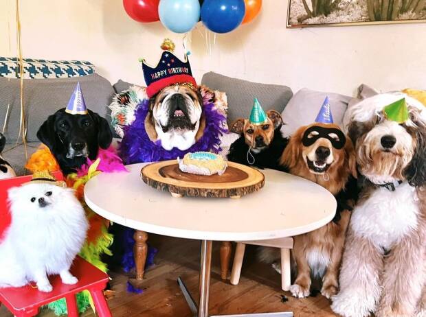 Roscoe Hamilton feiert seinen elften Geburtstag mit fünf engen Freunden Roscoe Hamilton feiert seinen elften Geburtstag mit fünf engen Freunden