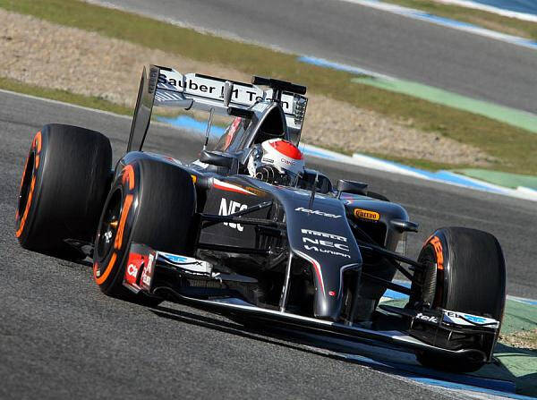 Foto zur News: Sutil ist die "neue" Formel 1 zu langsam