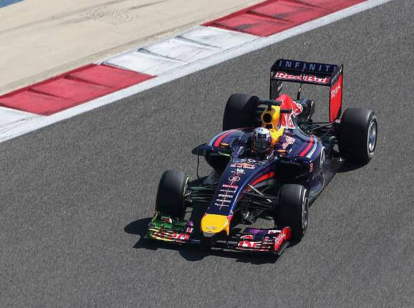 Foto zur News: Ricciardos zarte Hoffnung: "Stück für Stück bekrabbeln"