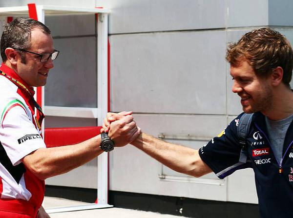 Foto zur News: Ferrari relativiert Spekulationen um Vettel