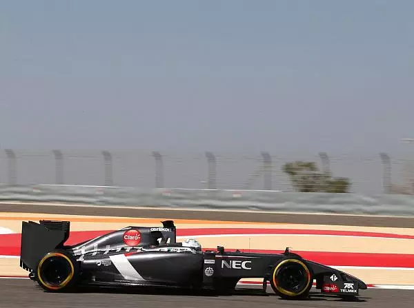 Foto zur News: Sauber: Van der Garde sammelt weiter Erfahrung