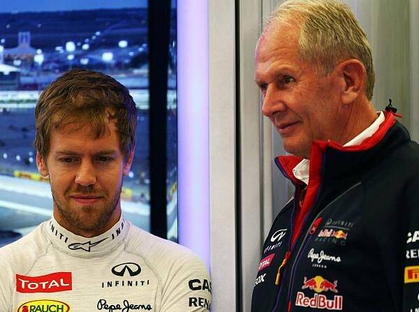 Foto zur News: Marko nennt Kritik an Vettel "überzogen und unfair"