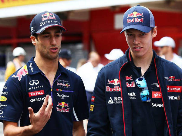 Foto zur News: Ricciardo: "Kwjat schlägt sich wirklich gut"