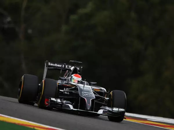 Foto zur News: Sauber: Nur Sutil im Training ohne Probleme