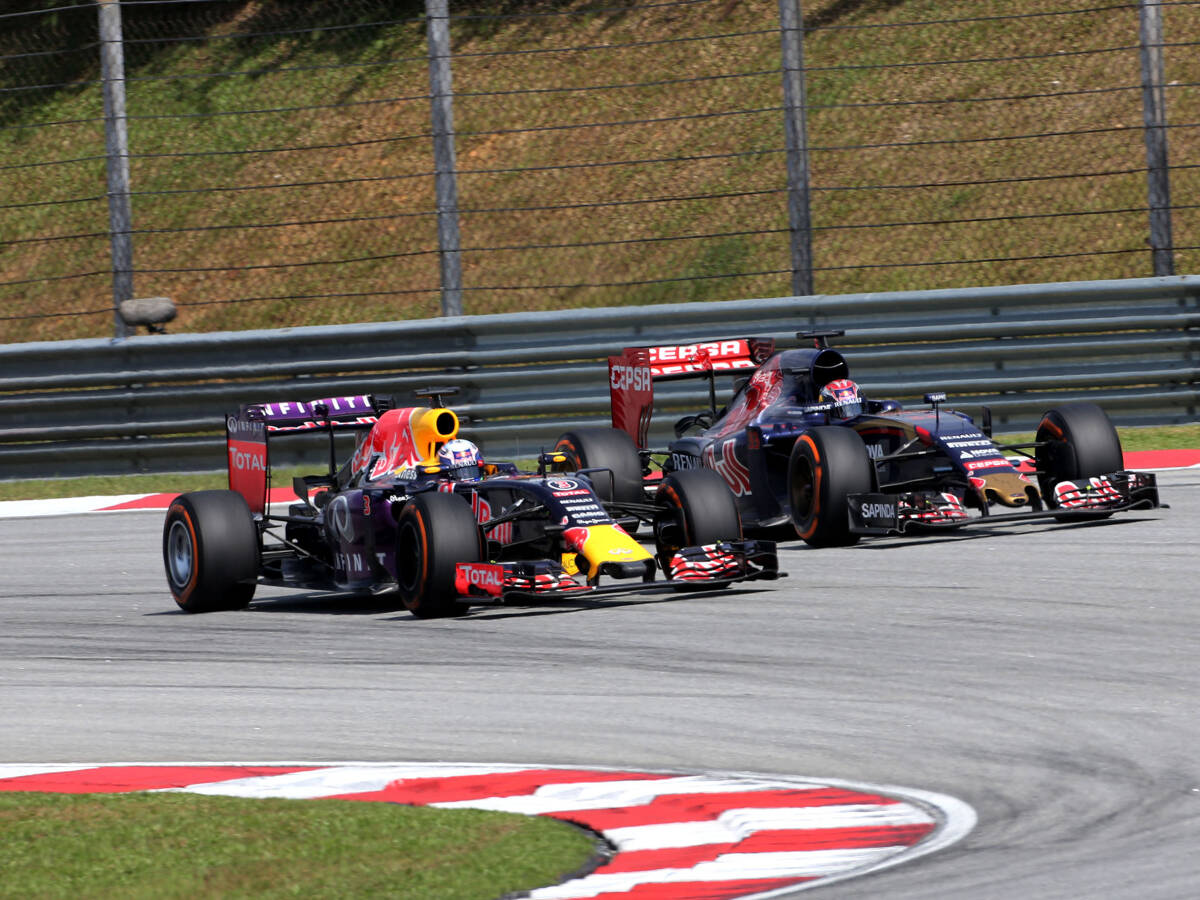 Foto zur News: Toro-Rosso-Fahrer ringen große Bullen nieder