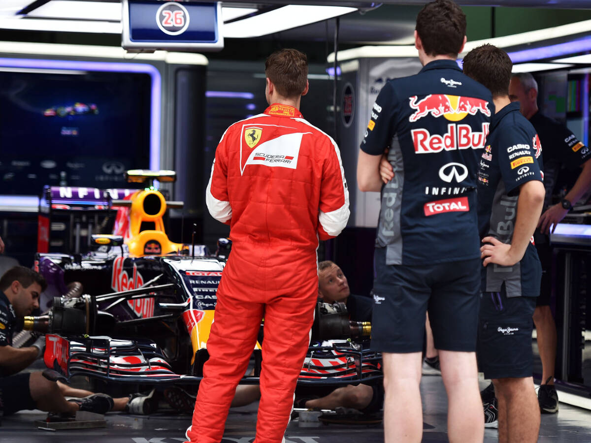 Foto zur News: Red-Bull-Berater Marko: Ricciardo mit Vettel auf gleicher Stufe