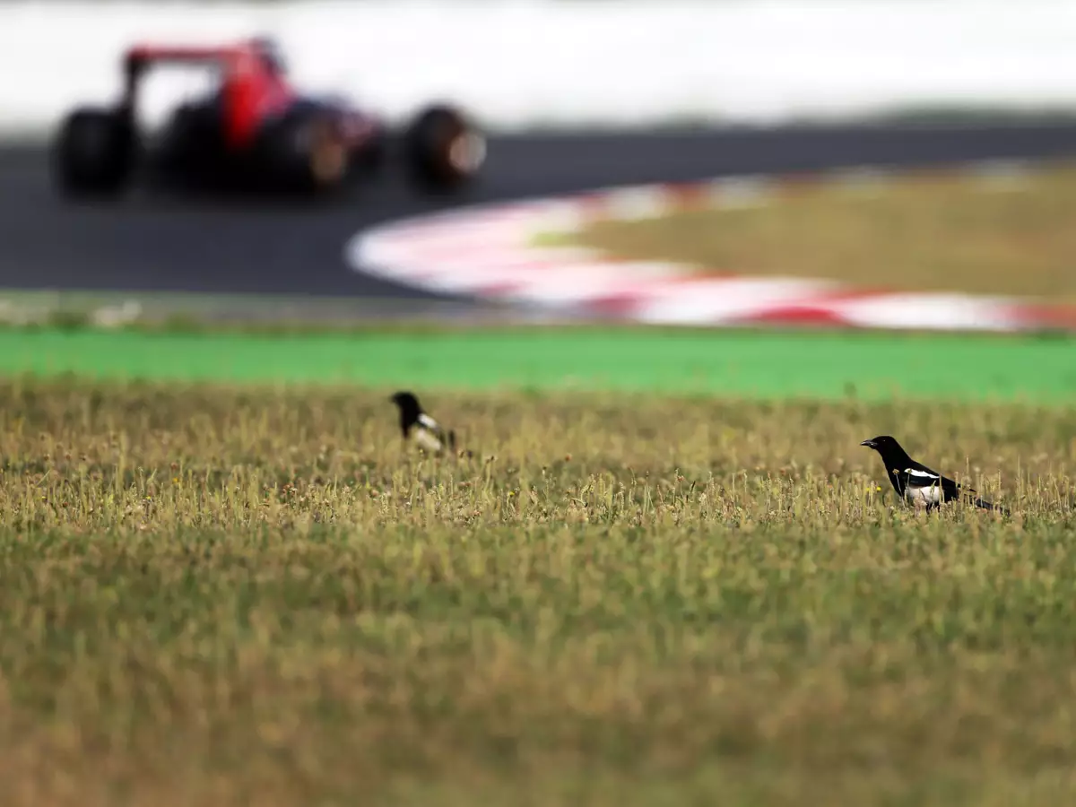 Foto zur News: Formel-1-Tests 2016: Auftakt doch schon im Februar?