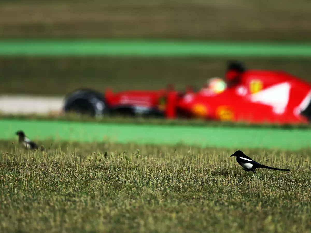 Esteban Gutierrez Foto zur News: Testfahrten: Barcelona und Silverstone vor Zuschlag