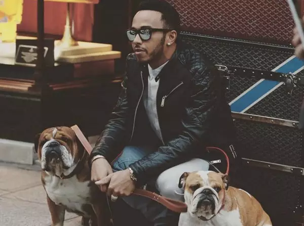 Lewis Hamilton Foto zur News: Hamilton: Winterpause am Kamin und mit "Game of Thrones"