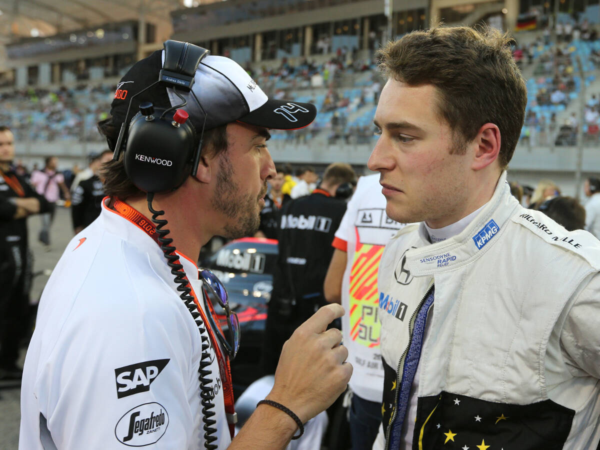 Foto zur News: Vandoorne: Wollen Konkurrenten ihn McLaren wegschnappen?