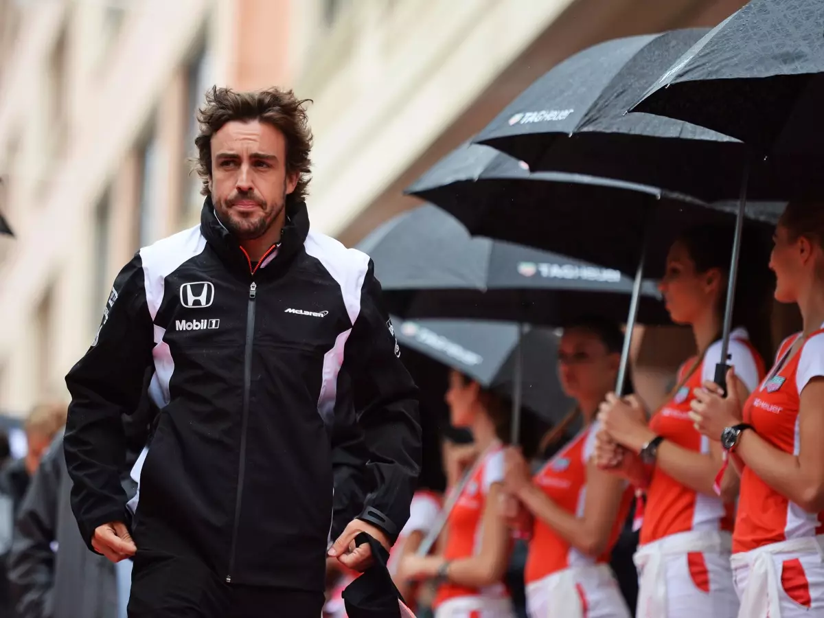 Fernando Alonso Foto zur News: Fernando Alonso gesteht: "Habe Red-Bull-Cockpit abgelehnt"