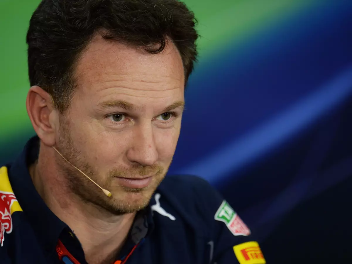 Christian Horner Foto zur News: Ricciardo-Kritik: Horner verteidigt Monaco- und Spanien-Taktik