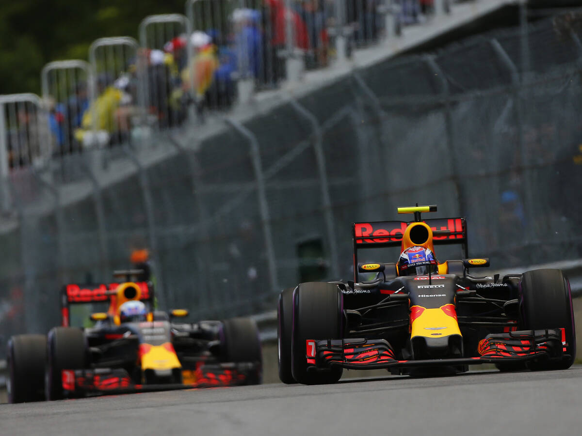 Foto zur News: Daniel Ricciardo: Kein Stallorder-Streit mit Max Verstappen
