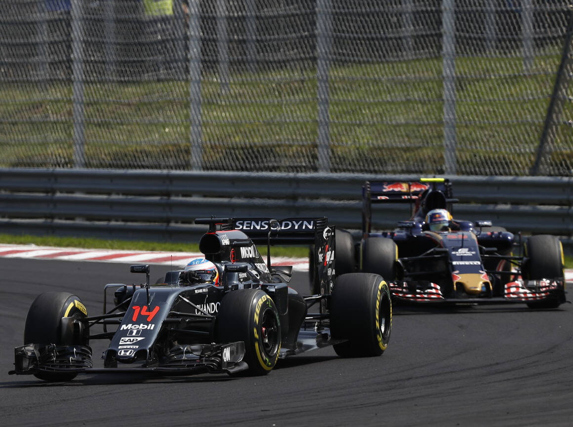 Foto zur News: Carlos Sainz: Honda-Motor ist stärker als Toro Rossos Ferrari
