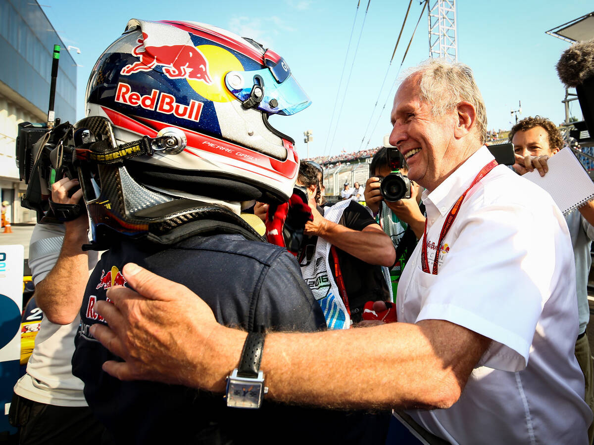 Foto zur News: Marko: Wieso Gasly nach der GP2 nicht Formel-1-reif war