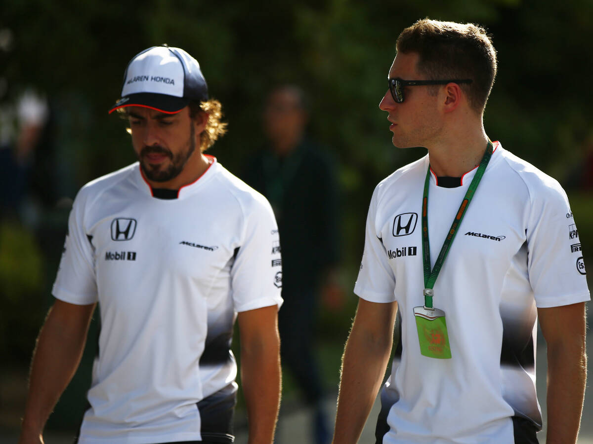 Foto zur News: Vandoorne gespannt auf Teamduell: Alonso "liefert immer ab"