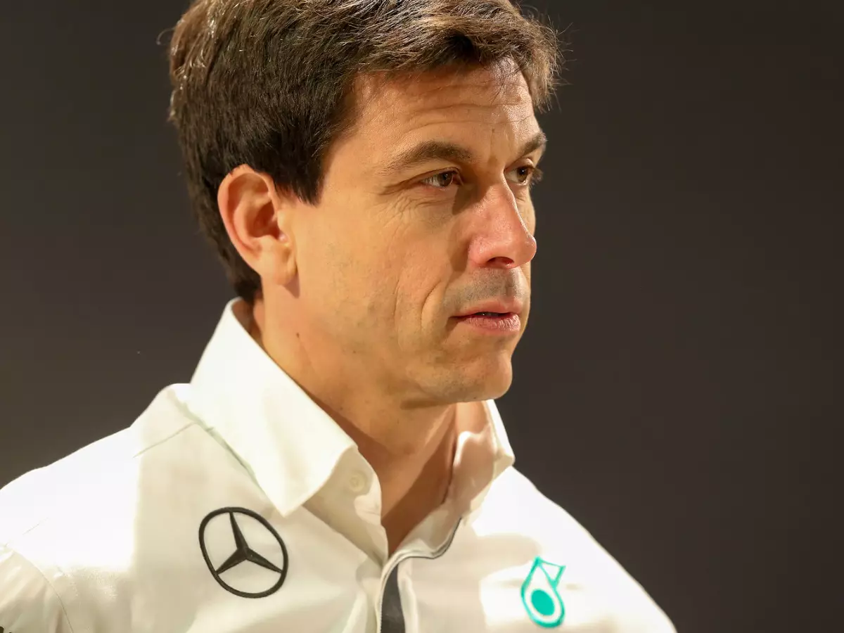 Foto zur News: Wolff fürchtet: "Keine Universallösung" für Hamilton-Probleme