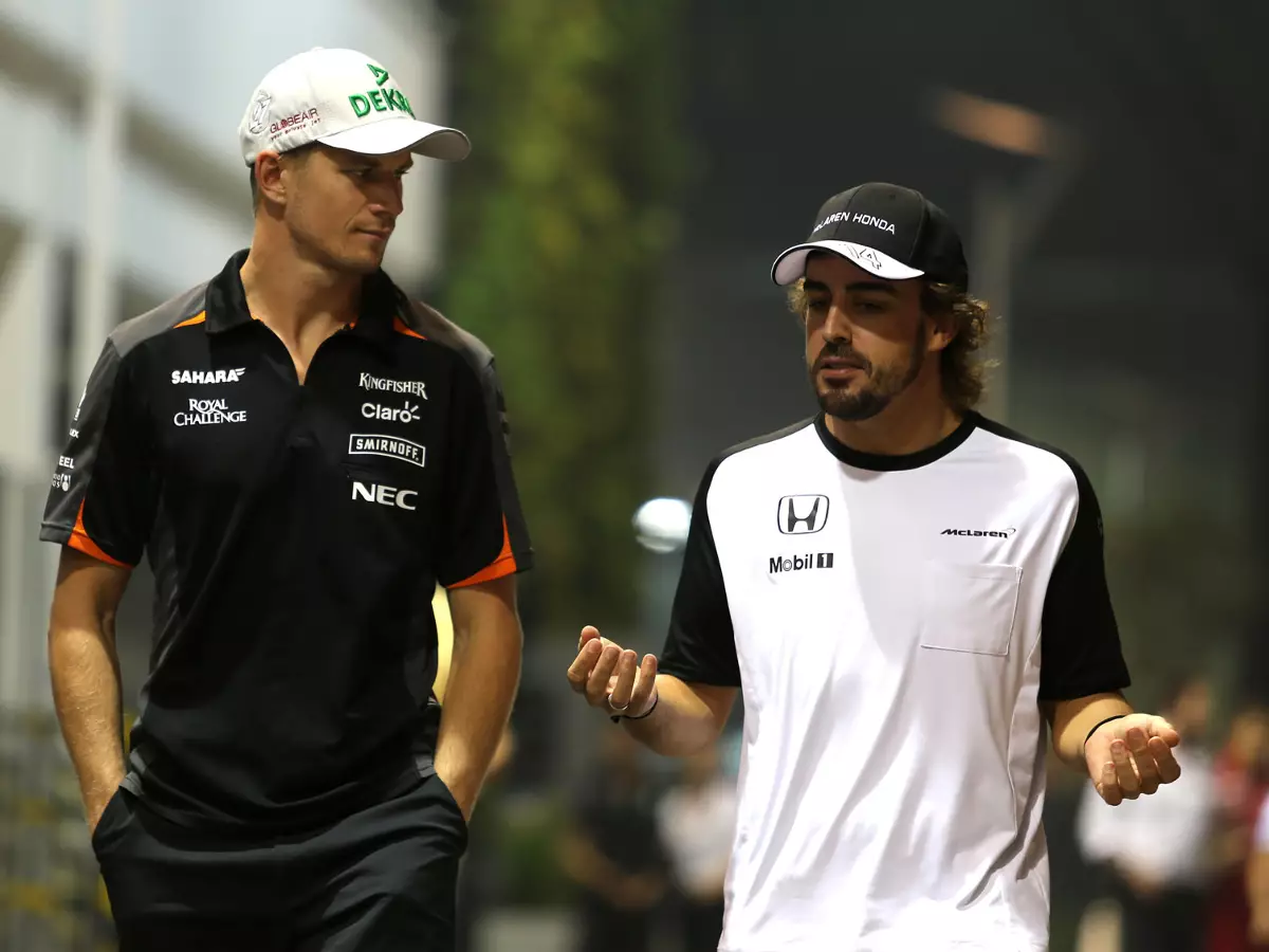Nico Hülkenberg, Fernando Alonso Foto zur News: Hülkenberg würde Alonso-Wechsel zu Renault begrüßen