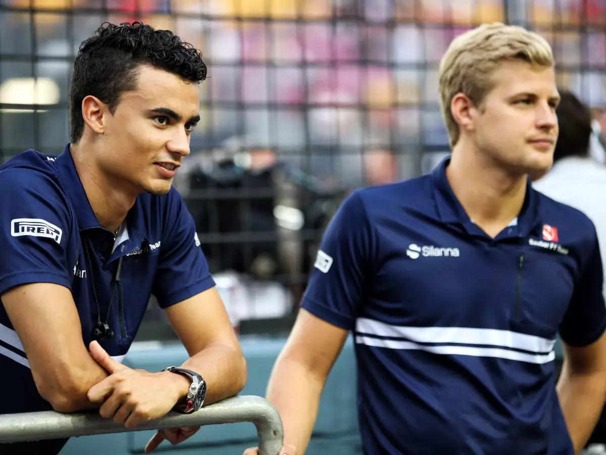 Pascal Wehrlein, Marcus Ericsson Foto zur News: Sauber-Teamchef: "Natürlich hat Wehrlein Cockpit-Chance"