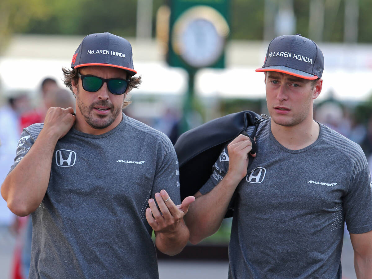 Foto zur News: Fernando Alonso gibt zu: Vandoorne war in Malaysia besser
