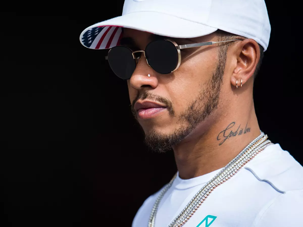 Foto zur News: Lewis Hamilton: AfD-Einzug in den Bundestag "nicht so cool"