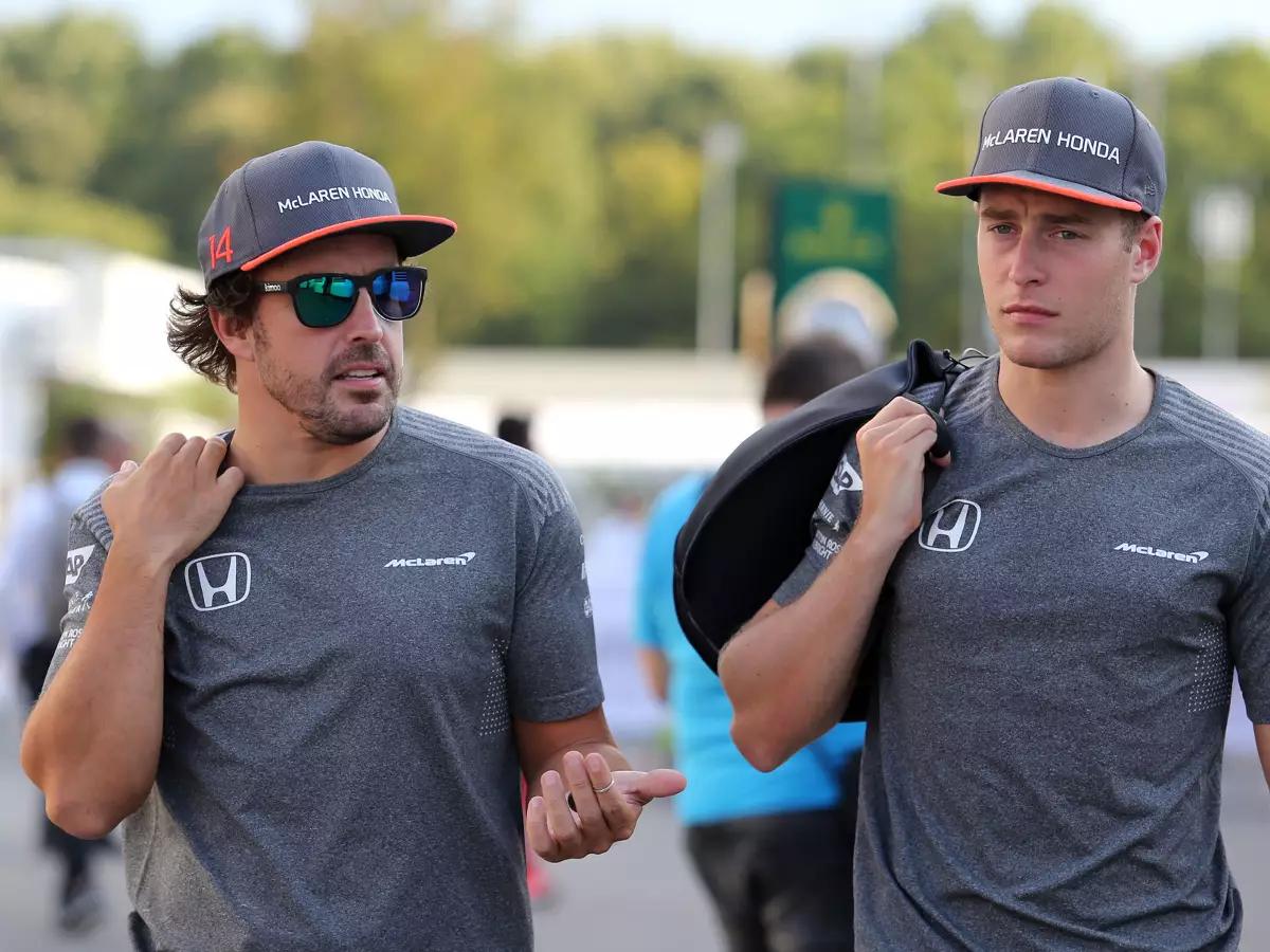 Foto zur News: Was Fernando Alonso von Stoffel Vandoorne lernen kann