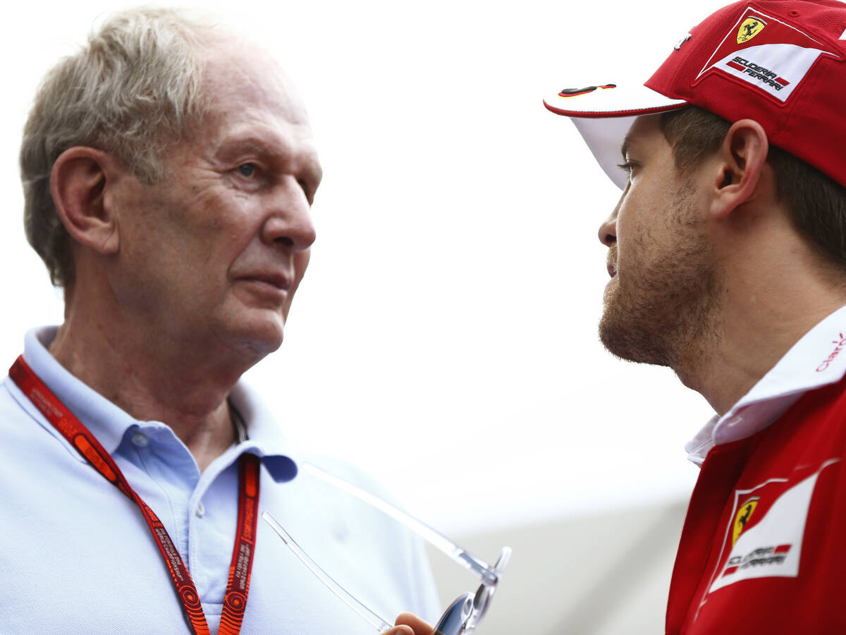 Foto zur News: Helmut Marko bezeichnet Stewart-Kritik an Vettel als "Blödsinn"