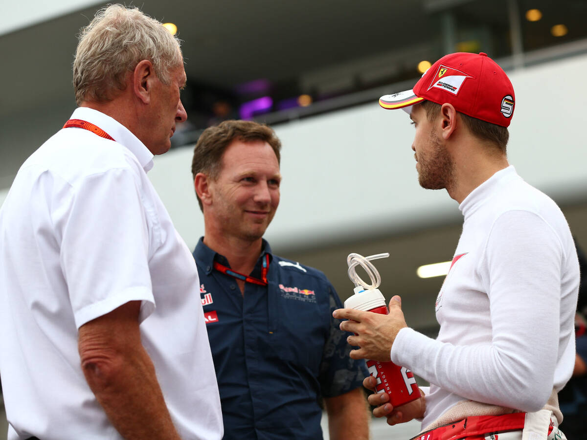 Foto zur News: Red Bull 2019: Wer kommt, wenn Daniel Ricciardo geht?