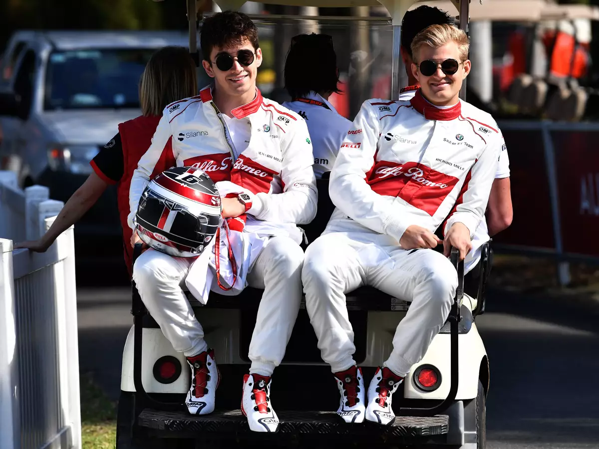 Foto zur News: Marcus Ericsson: Hatte Charles Leclerc locker im Griff