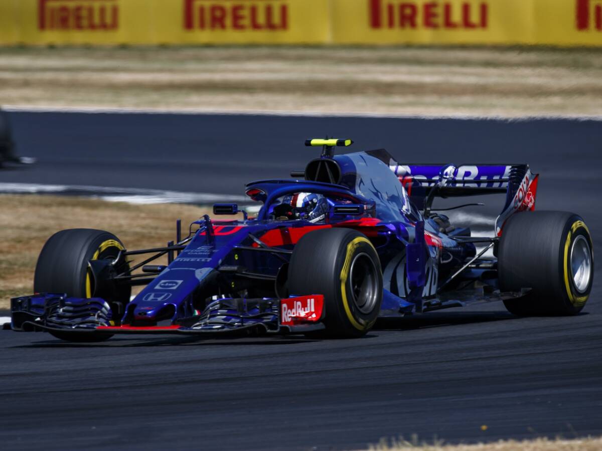 Foto zur News: Horner: Toro Rosso soll nicht Versuchskaninchen spielen