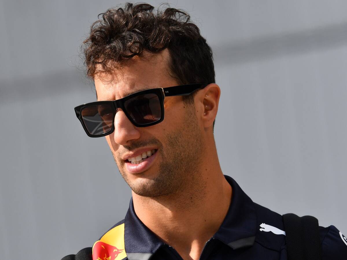 Foto zur News: Falls er bei Red Bull bleibt: Neuer Renningenieur für Ricciardo