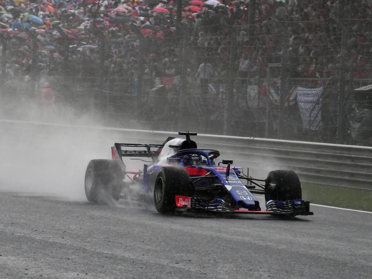 Foto zur News: Toro Rossos Regengötter: Hartley hat "so richtig Eier bewiesen"
