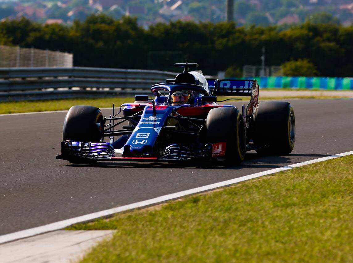 Foto zur News: Toro Rosso: Pierre Gasly ist ein "reiferer" Fahrer geworden