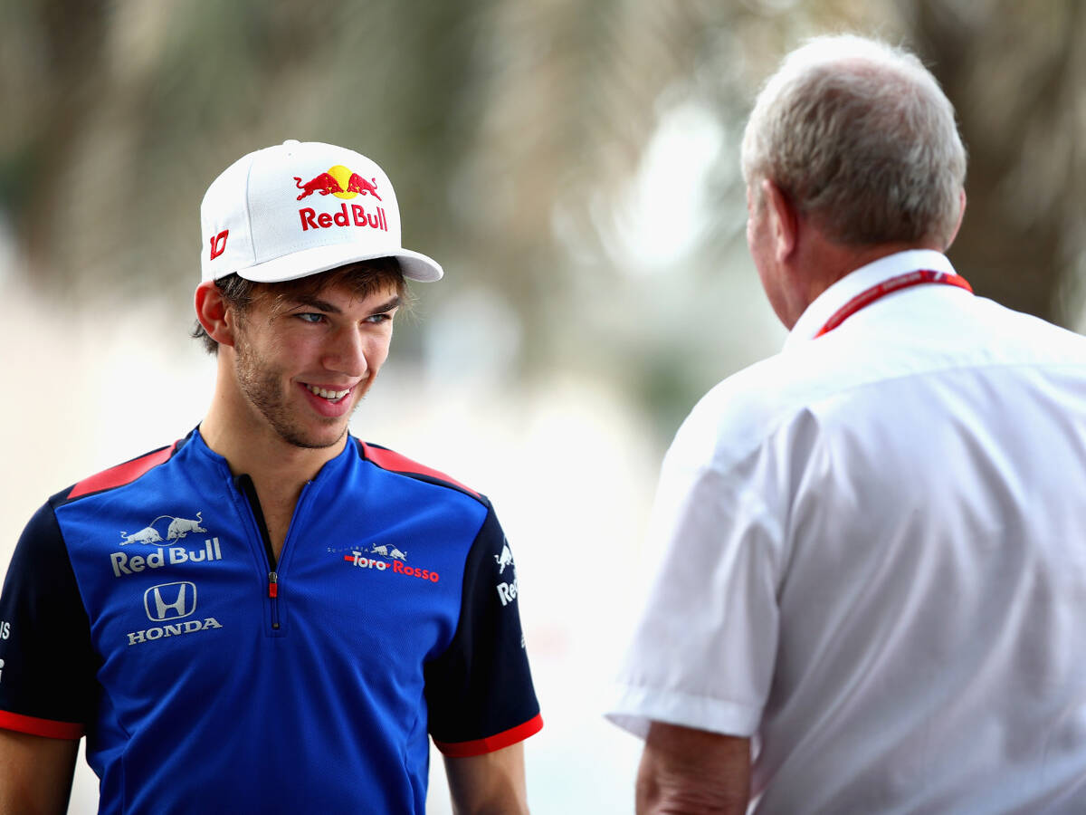 Foto zur News: Red Bull: Gasly muss bis Mitte 2019 auf Ricciardo-Niveau sein