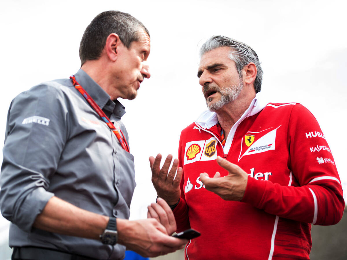 Foto zur News: Charles Leclerc und Haas: Keine Anfrage von Ferrari