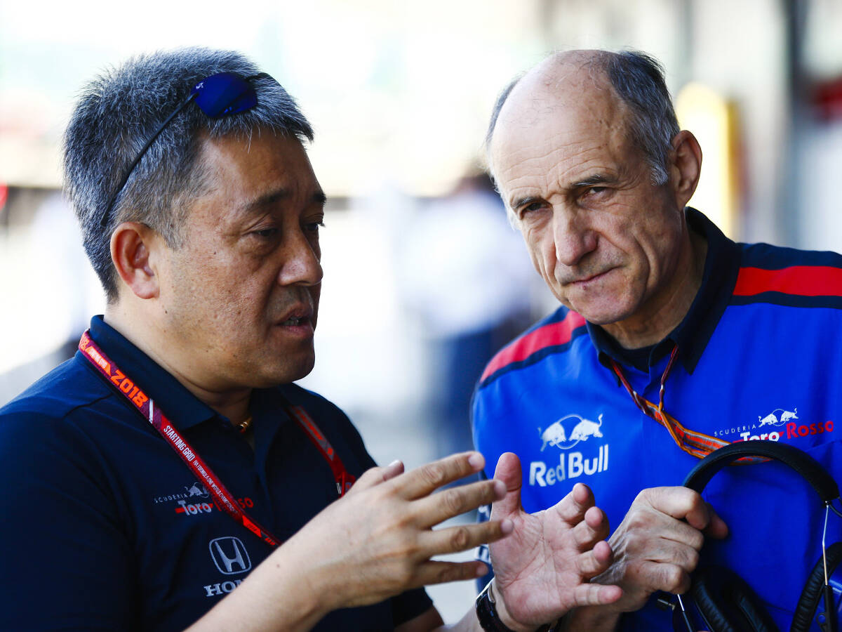 Foto zur News: Toro-Rosso-Teamchef: Red Bull siegt 2019 mit Honda