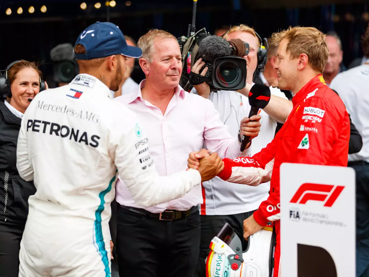 Foto zur News: Brundle: 2017 hat Ferrari die WM verloren, 2018 war's Vettel