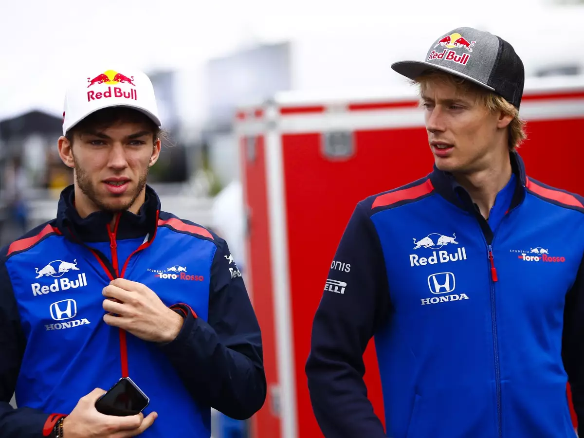 Foto zur News: Schon wieder Zwist Hartley vs. Gasly nach ignorierter Teamorder