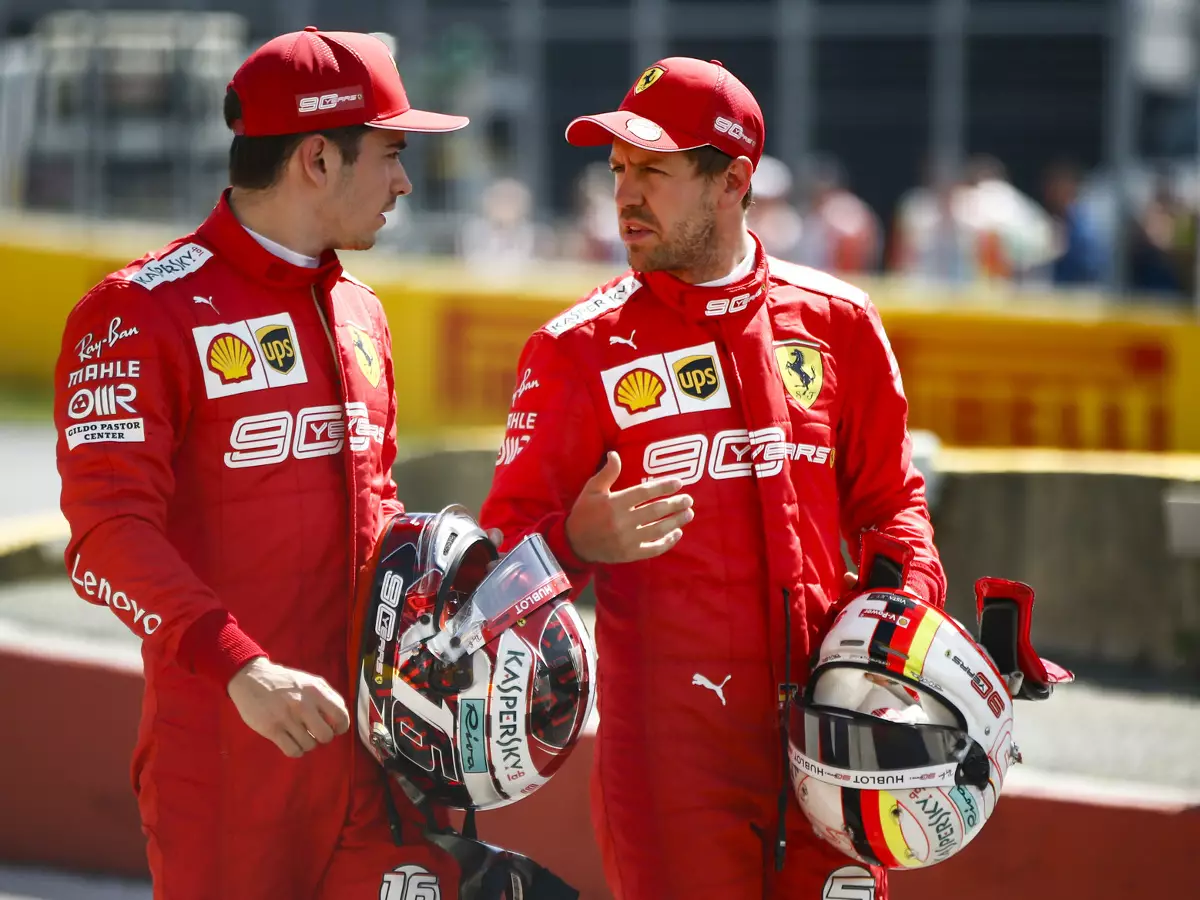 Foto zur News: Ralf Schumacher: Vettel muss auf Nummer-1-Status aufpassen