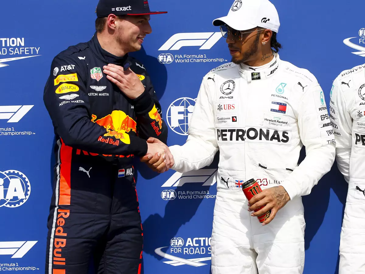 Foto zur News: Hamilton: Verstappen als Teamkollege wäre eine Chance für mich