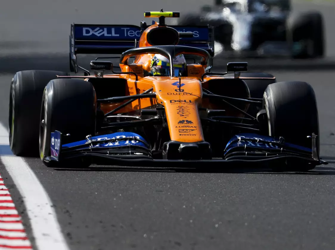 Foto zur News: Rookie Lando Norris von McLaren-Größe beeindruckt