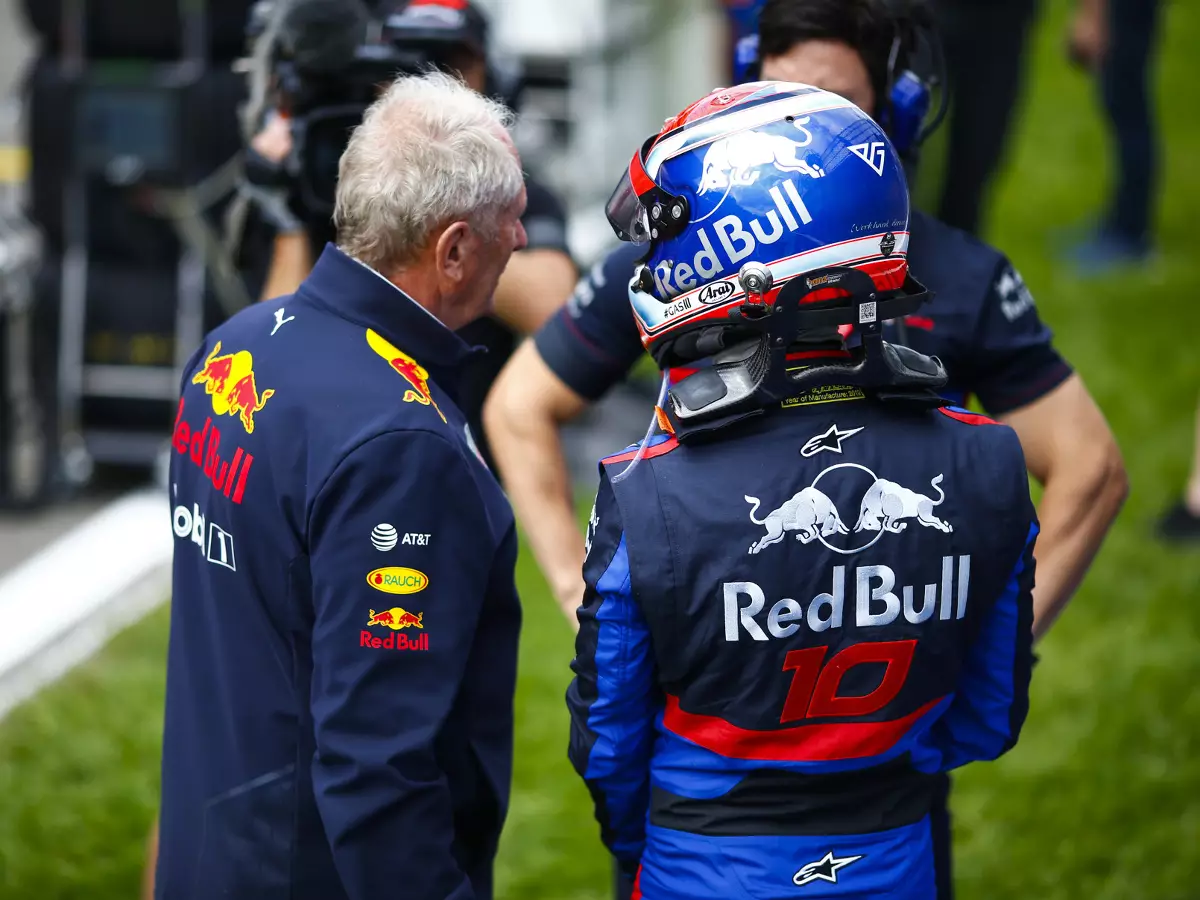 Foto zur News: Pierre Gasly: Warum Red Bull die Meinung geändert hat