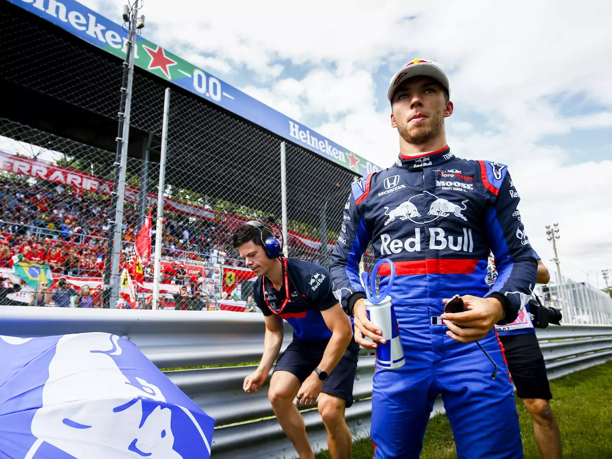 Foto zur News: Nach E-Sport-Saisonstart: Gasly will im Sim-Racing aktiver werden